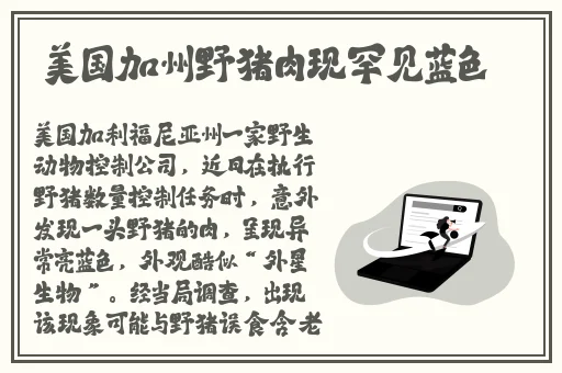 久久中精品中文字幕
